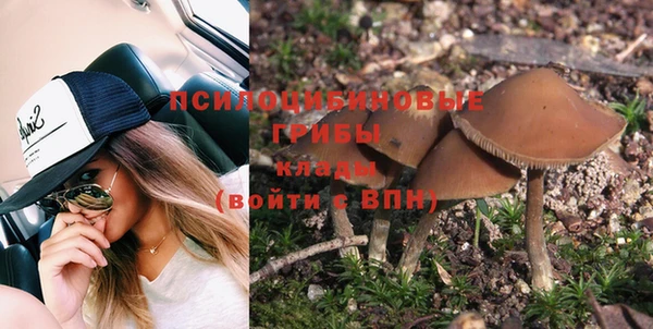 твердый Алексеевка