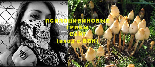 стафф Алексин