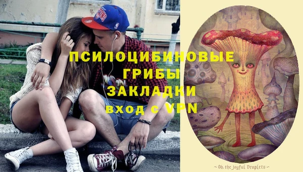 стафф Алексин